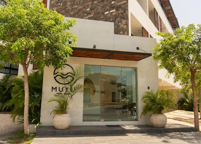 Muyu 2*